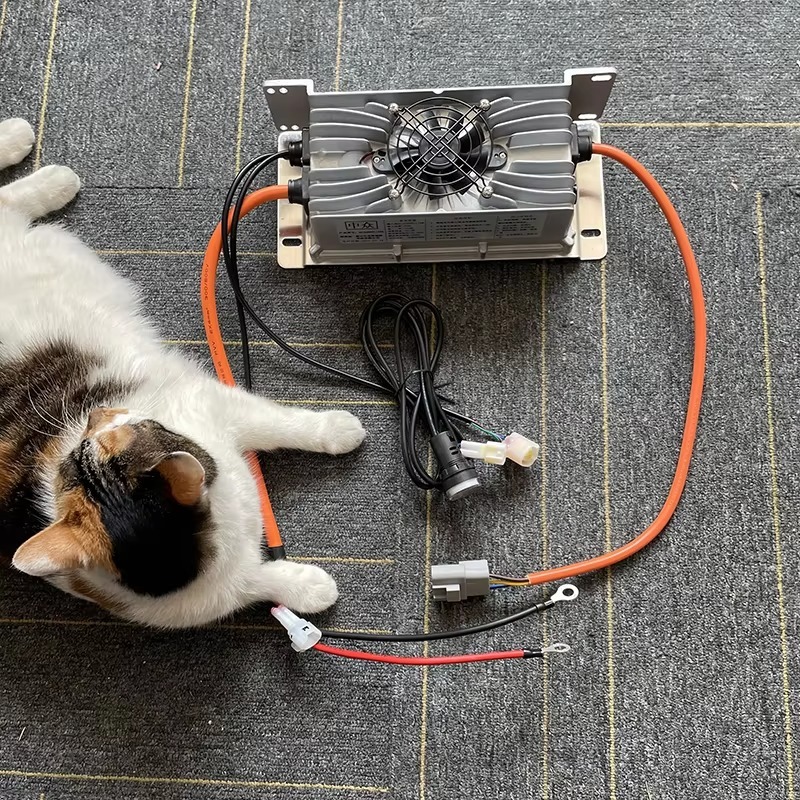 48V 60V 72V 80V Li-ion Lifepo4 - đánh giá và giá 72V 15A Fast Charger