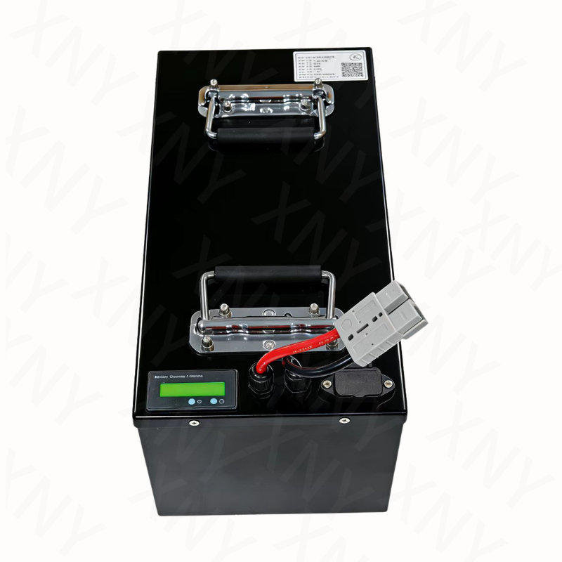 XNY-72V Lithium Battery LifePo - đánh giá và giá 72V 40Ah Lifepo4 Battery Pack