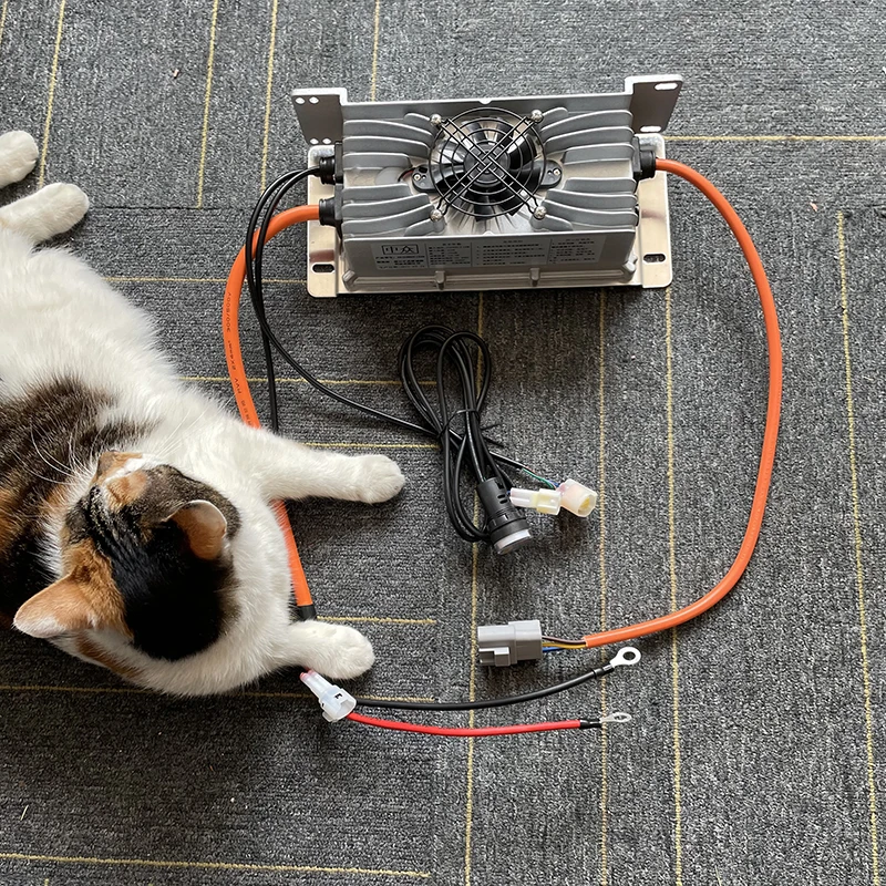 24V 48V 60V 72V 80V 84V 100.8V - đánh giá và giá 72V 15A Fast Charger